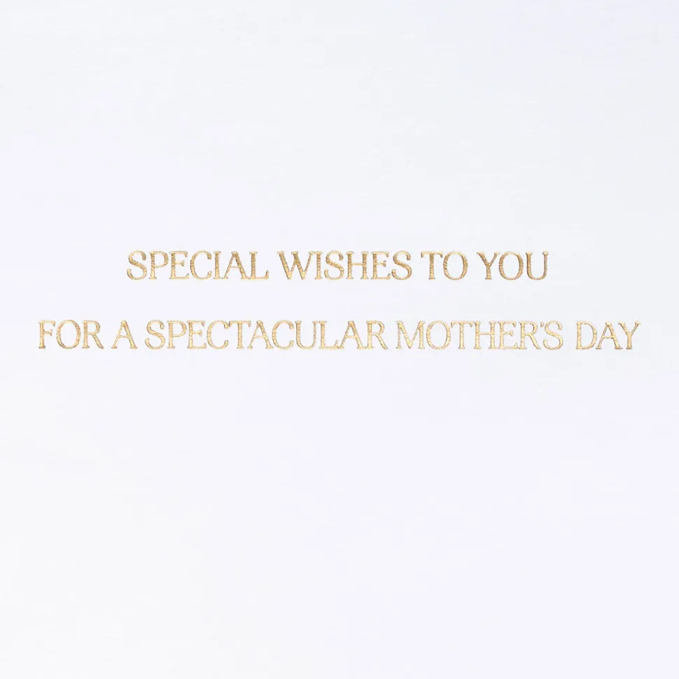 A Spectacular Day Mothers Day Greeting Card