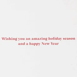 Amazing Holiday Season Christmas Boxed Cards with Envelopes, 16-Count