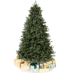 7′ Blue Spruce Tree