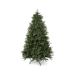 7′ Blue Spruce Tree
