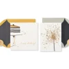 Cake and Sparkler Birthday Greeting Card Bundle, 2-Count