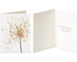 Cake and Sparkler Birthday Greeting Card Bundle, 2-Count