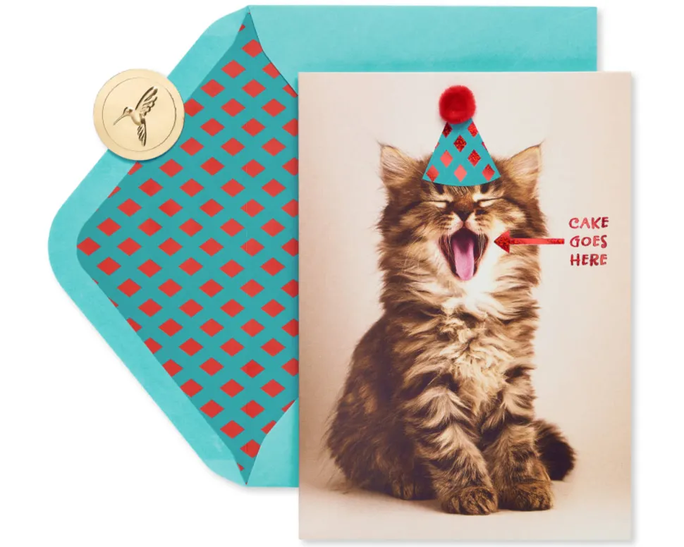 Cake Goes Here Funny Cat Birthday Greeting Card