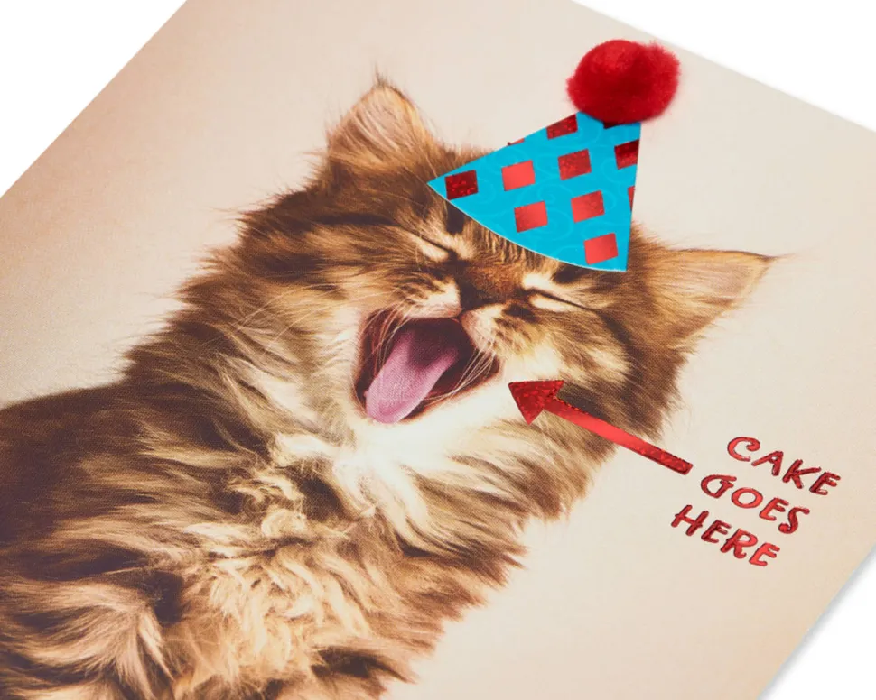 Cake Goes Here Funny Cat Birthday Greeting Card