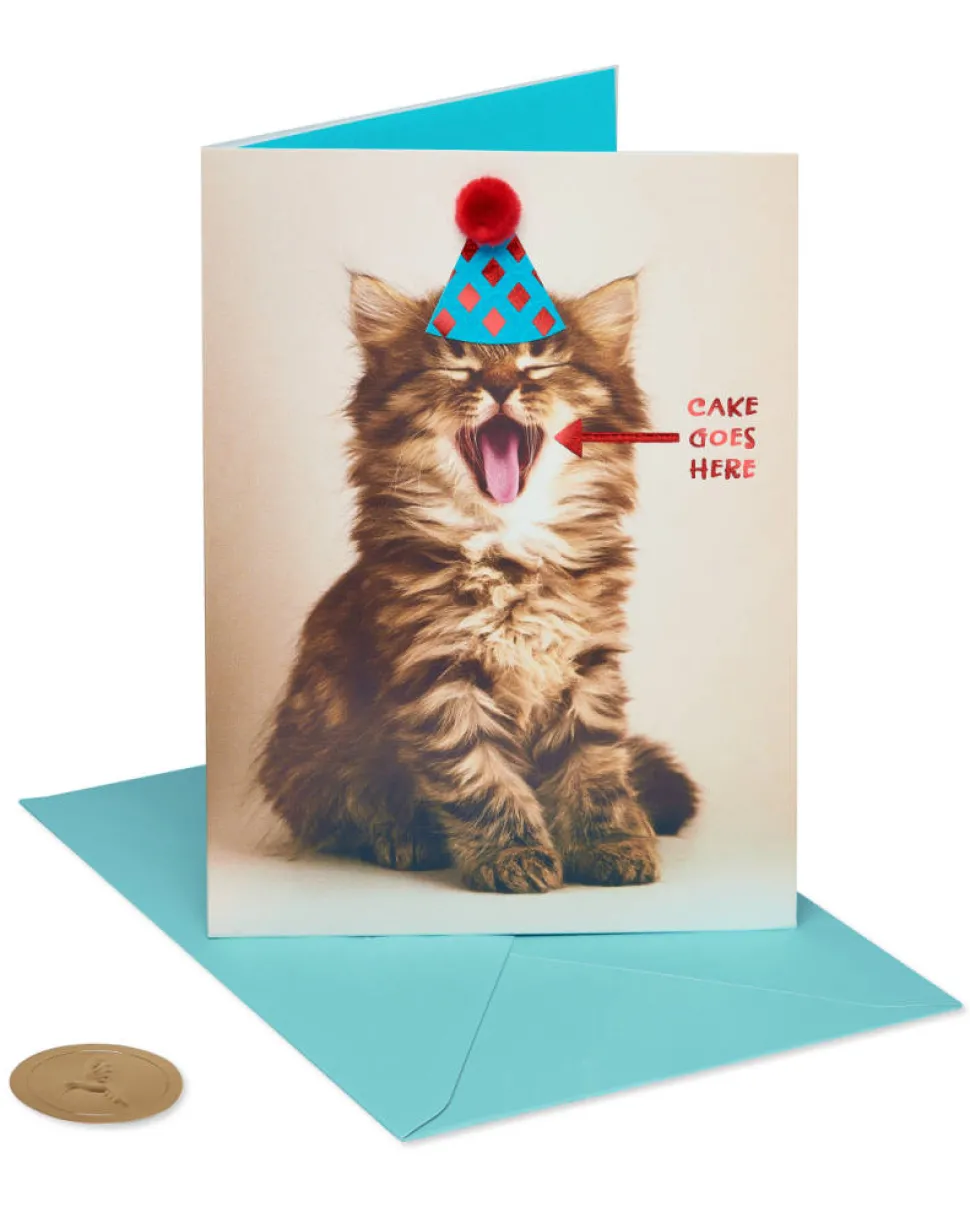 Cake Goes Here Funny Cat Birthday Greeting Card