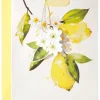 Citrus Medium Gift Bag, 1 Bag