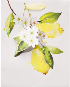 Citrus Medium Gift Bag, 1 Bag