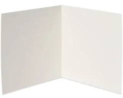 Colorful Flowers Blank Greeting Card