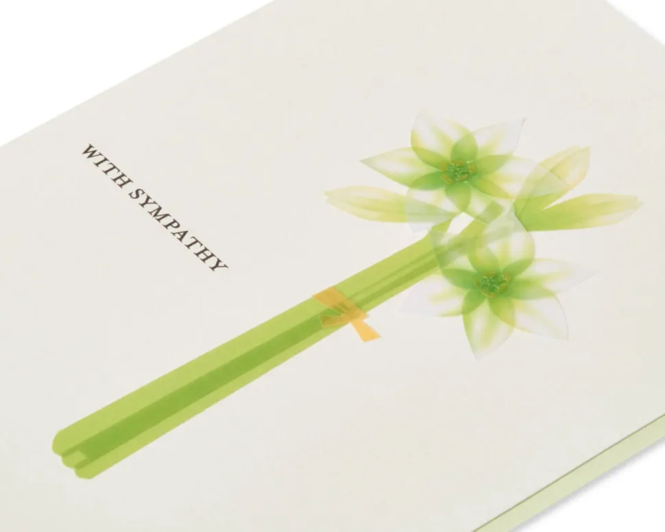 Comfort and Support Sympathy Greeting Card