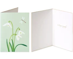 Crocus and Peace Sympathy Greeting Card Bundle, 2-Count