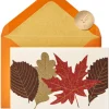 Fall Leaves Thanksgiving Greeting Card