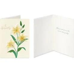 Flowers and Butterflies Sympathy Card Assortment, 4-Count