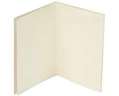Flowers Friendship Blank Greeting Card