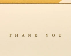 Gold Border Thank You Boxed Blank Note Cards and Envelopes, 16-Count