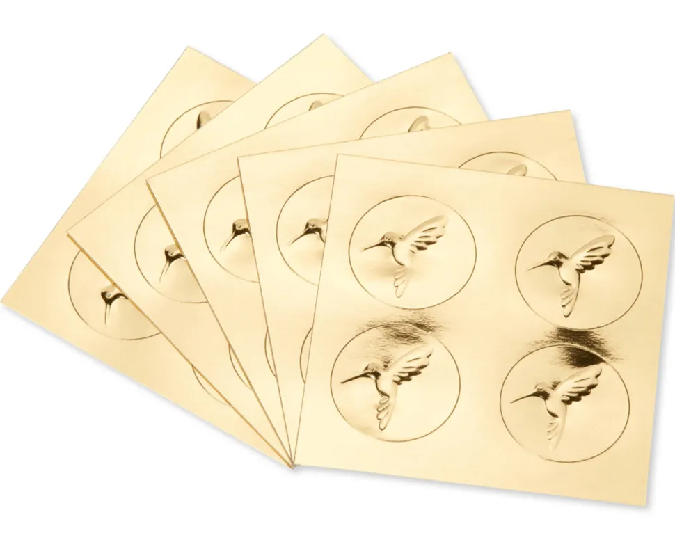 Graphic Sea Life Boxed Blank Cards and Envelopes, 20-Count