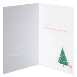 Joy and Wonder Christmas Boxed Cards with Envelopes, 12-Count
