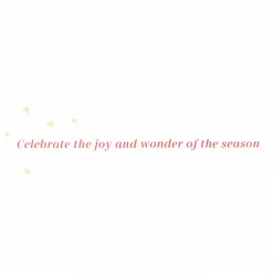 Joy and Wonder Christmas Boxed Cards with Envelopes, 12-Count