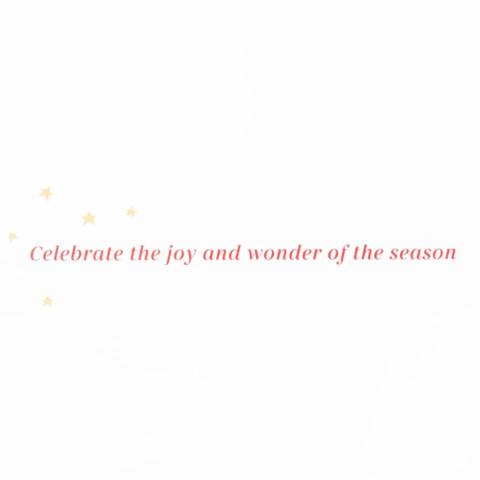 Joy and Wonder Christmas Boxed Cards with Envelopes, 12-Count