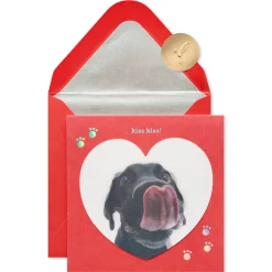 Kiss Kiss Funny Valentine’s Day Greeting Card