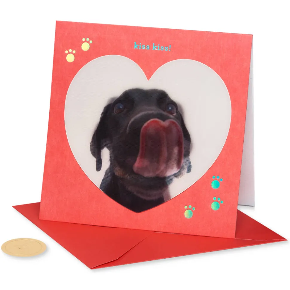 Kiss Kiss Funny Valentine’s Day Greeting Card