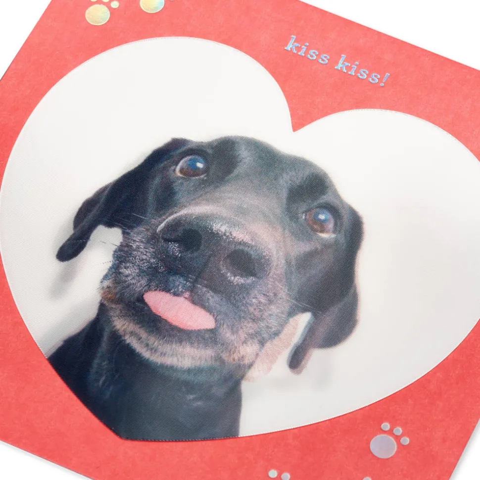 Kiss Kiss Funny Valentine’s Day Greeting Card