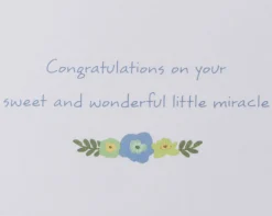 Little Miracle Baby Boy Greeting Card
