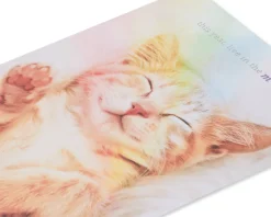 Live in the Meow Birthday Greeting Card