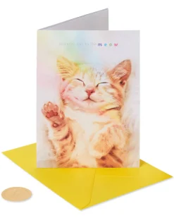 Live in the Meow Birthday Greeting Card