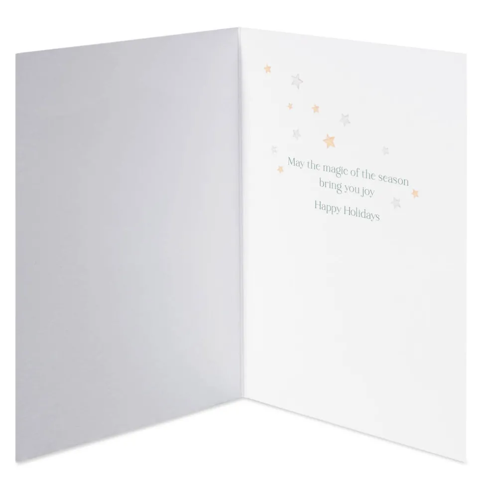 Magic Of The Season Christmas Boxed Cards with Envelopes, 14-Count