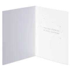 Merry and Bright Christmas Boxed Cards with Envelopes, 20-Count
