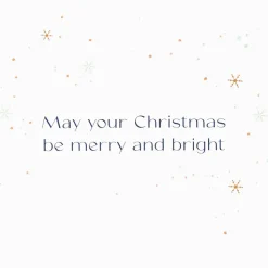 Merry and Bright Christmas Boxed Cards with Envelopes, 20-Count