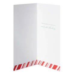 Merry Wishes Christmas Boxed Cards with Envelopes – Designed by Bella Pilar, 16-Count