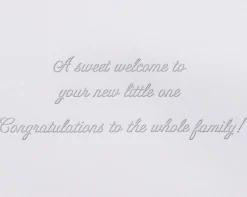Oh Baby New Baby Greeting Card