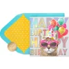One Cool Cat Birthday Greeting Card