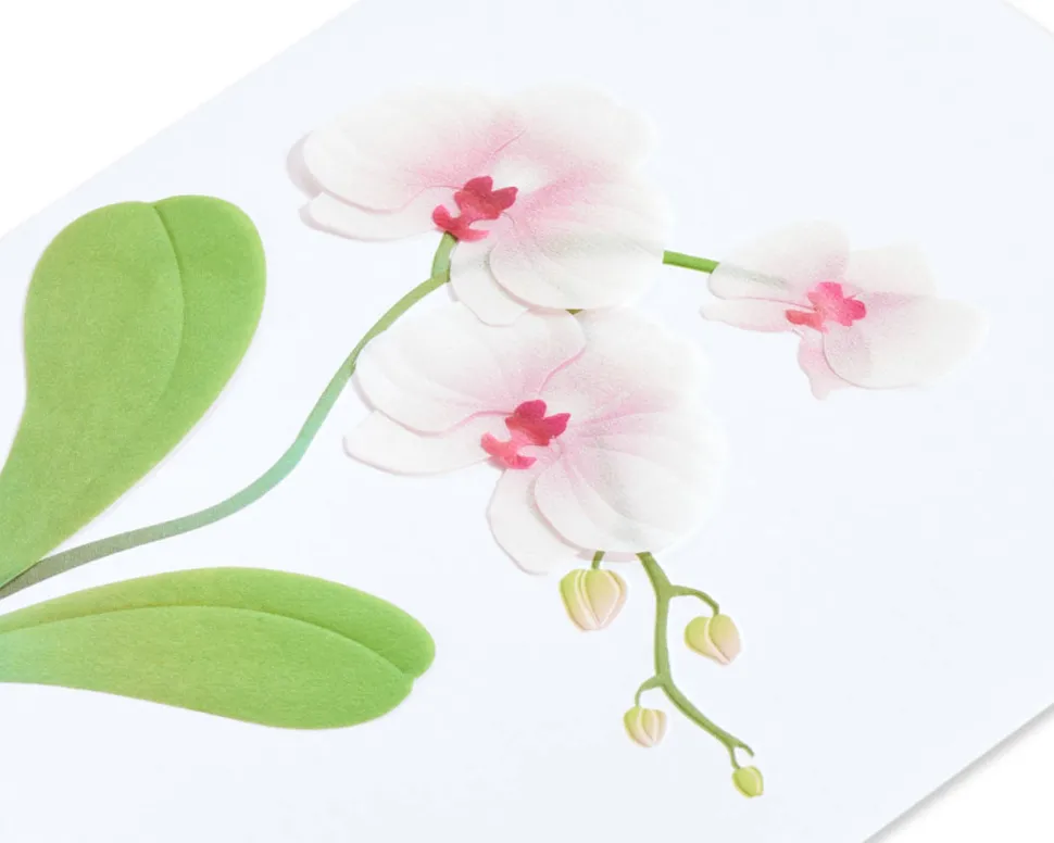 Orchid Blank Greeting Card