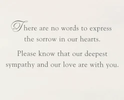 Our Deepest Sympathy and Our Love Sympathy Greeting Card