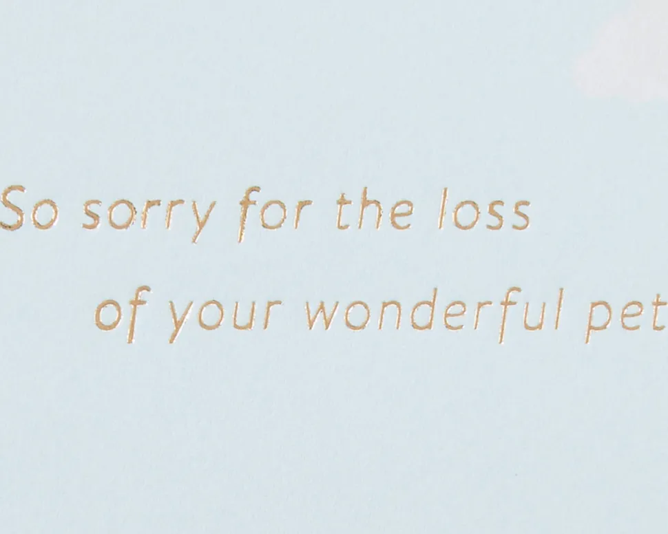 Rainbow Pet Sympathy Greeting Card