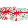 Red Holly Holiday Gift Box Set, 4 Boxes, 4 Gift Tags, One Ribbon, 8 Sheets of Solid Tissue