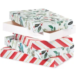 Red Holly Holiday Gift Box Set, 4 Boxes, 4 Gift Tags, One Ribbon, 8 Sheets of Solid Tissue