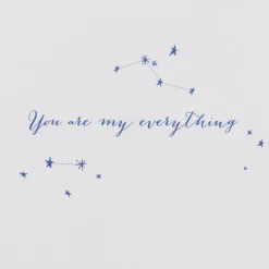 Romantic Stars Anniversary Greeting Card