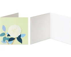 Rose and Orchid Blank Greeting Card Bundle, 2-Count