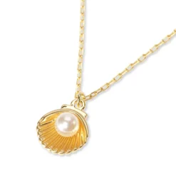 Seashell Necklace Blank Greeting Card with Necklace