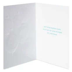 Season Shine Christmas Boxed Cards with Envelopes, 14-Count