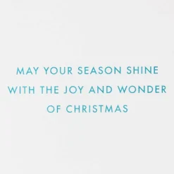 Season Shine Christmas Boxed Cards with Envelopes, 14-Count