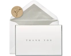 Silver Border Thank You Boxed Blank Note Cards and Envelopes, 16-Count