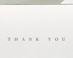 Silver Border Thank You Boxed Blank Note Cards and Envelopes, 16-Count