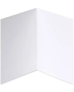 Simple Leaf Boxed Cards and Envelopes, 14-Count