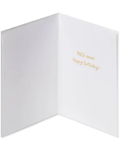 Sloth Funny Birthday Greeting Card