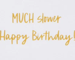 Sloth Funny Birthday Greeting Card