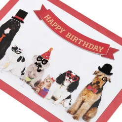 Smile You’re Awesome Dog Birthday Greeting Card
